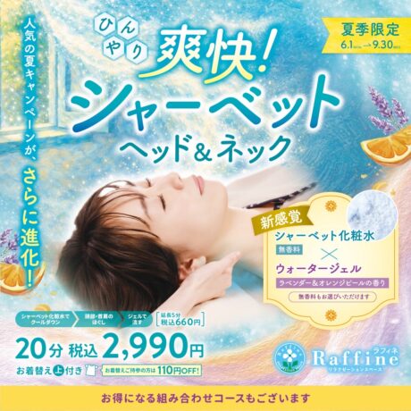 ひんやり爽快シャーベットヘッド＆ネック